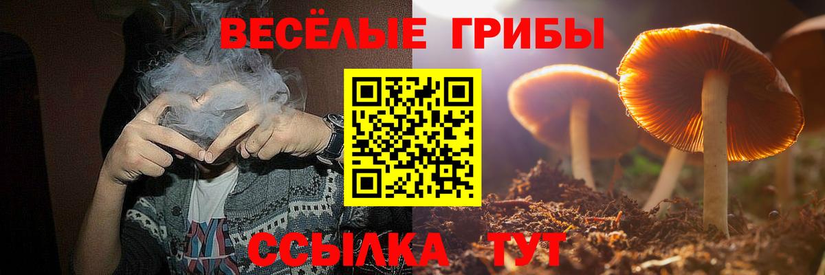 Галлюциногенные грибы MAGIC MUSHROOMS Карталы